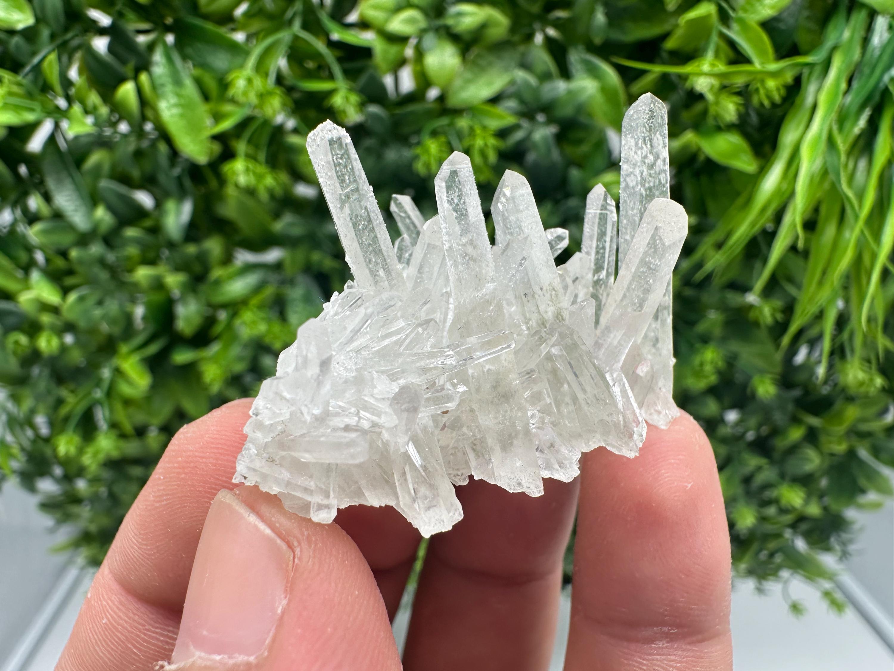 Transparent Quartz on Chlorite Matrix, Borieva Mine, Bulgaria