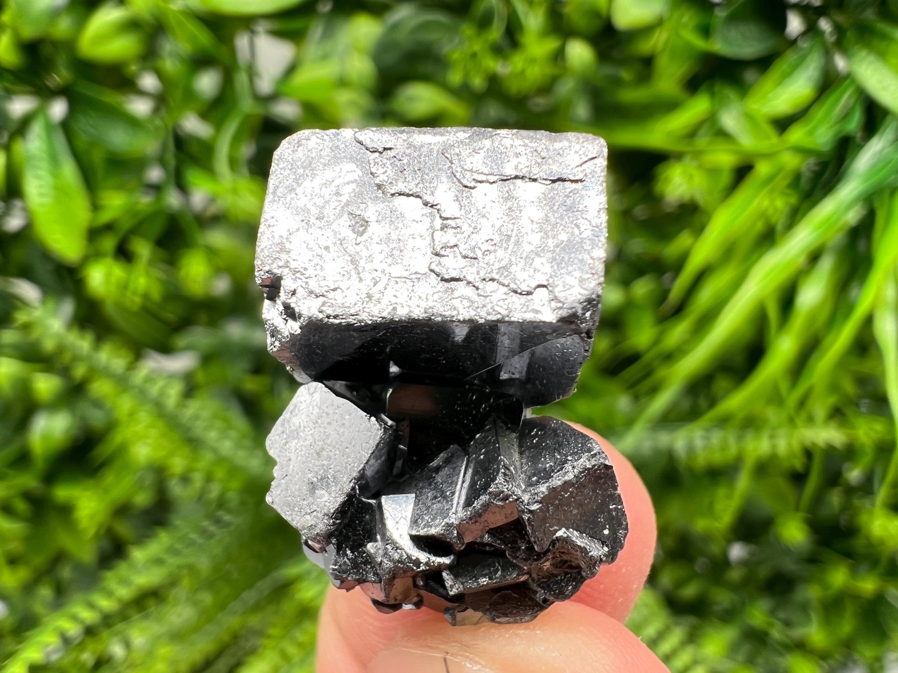 Shiny Galena Cluster: Borieva Mine, Madan Bulgaria