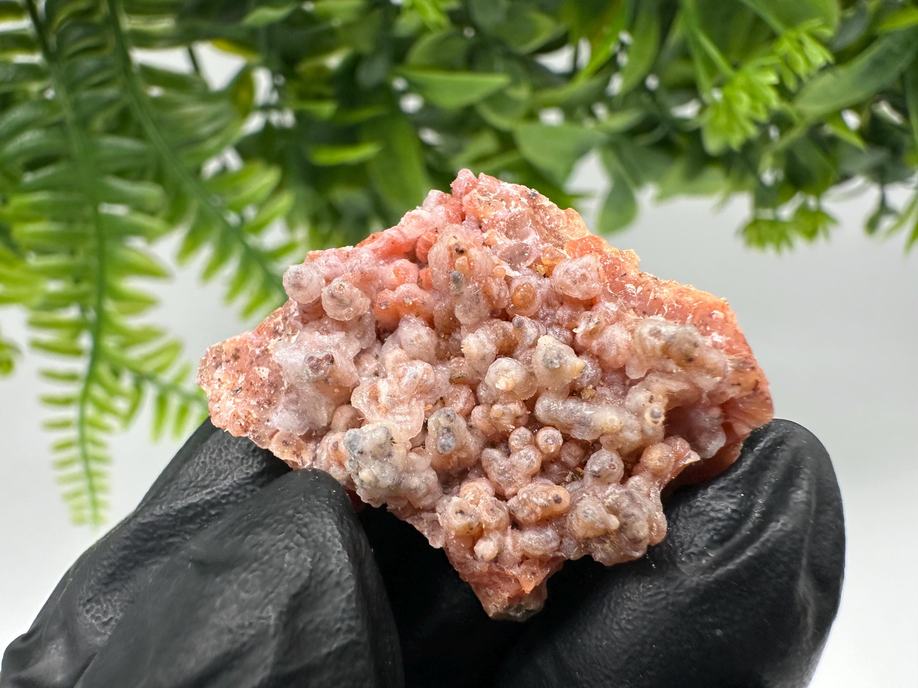 Stunning Red Chalcedony from Morocco,Morocco Minerals,Crystals,rare red Chalcedony,Red Crystal,Mineral Specimen,red minerals,souvenir gift