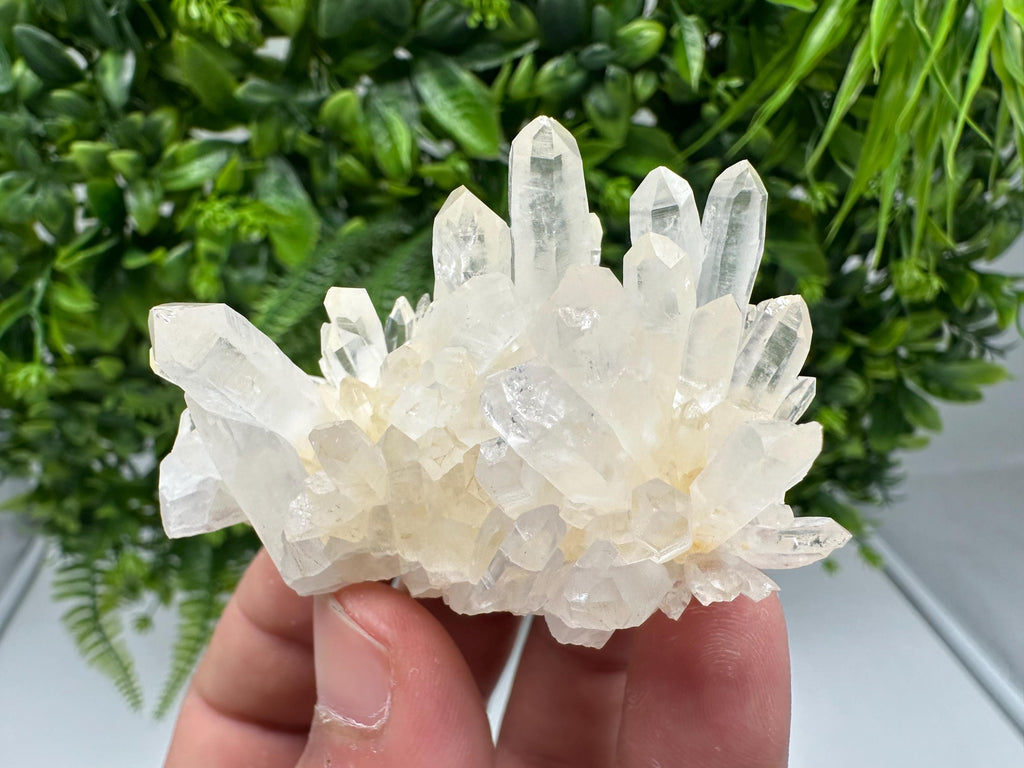 Stunning Quartz covered whit iron oxide limonite natural minerals souvenir crystal home decor stone collection minerals 9 th September mine