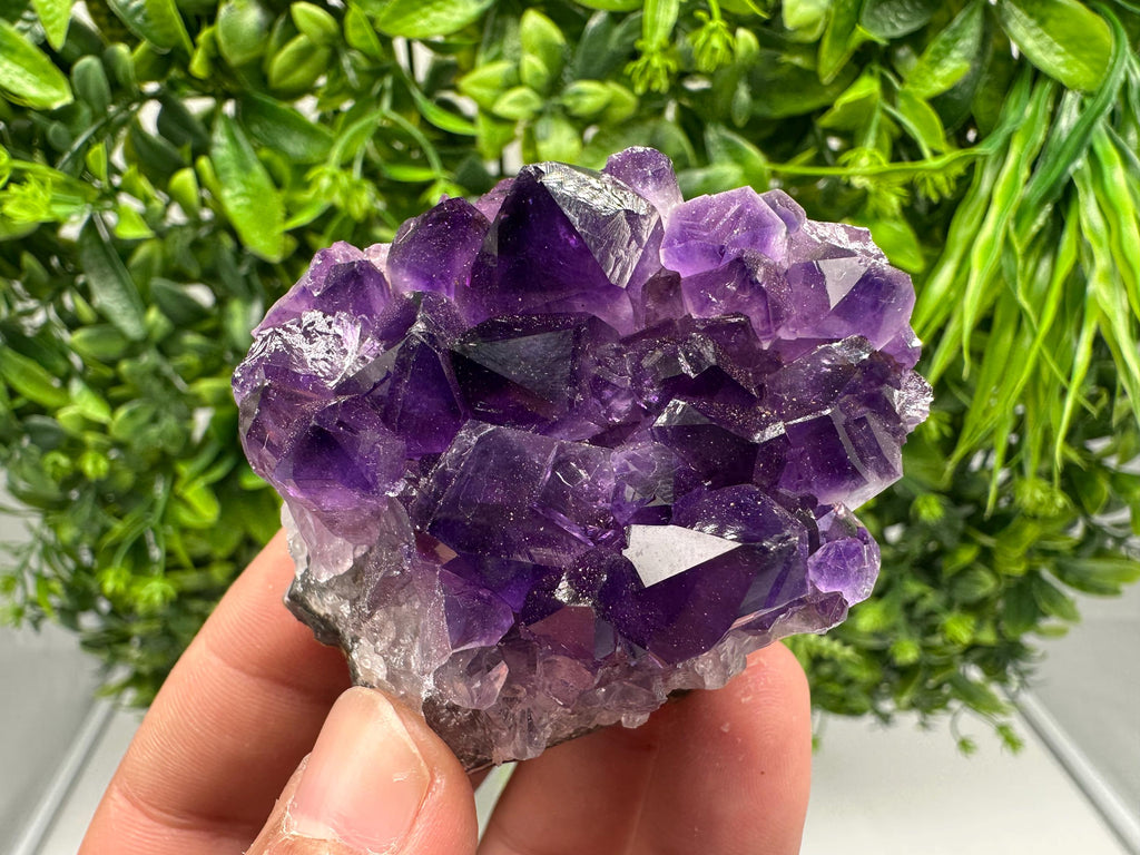 Uruguay Amethyst Cluster, Natural Purple Quartz Crystal, Home Decor