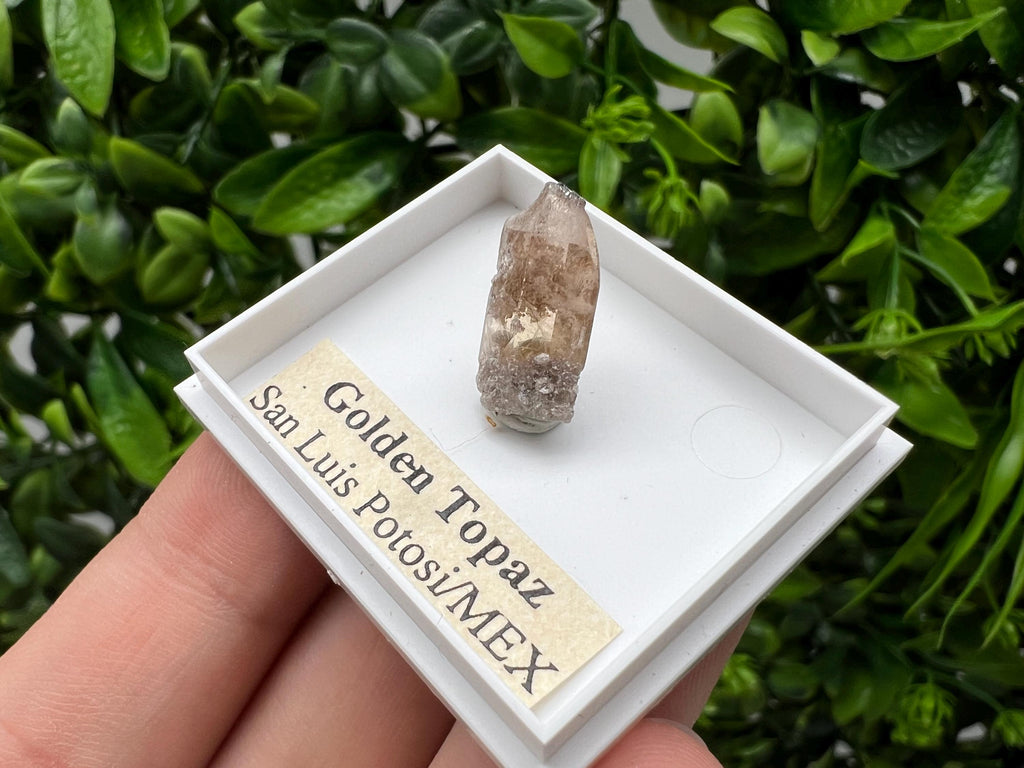 Beautiful Golden Topaz from Mexico,collection piece Crystal,Mineral,collectibles,Collectors, Natural Crystal, Minerals from Mexico,original,