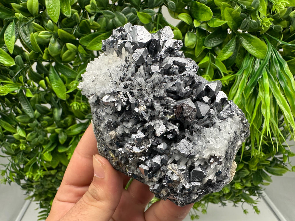 Galena Sphalerite Quartz Mineral Specimen: Krushev Dol Mine