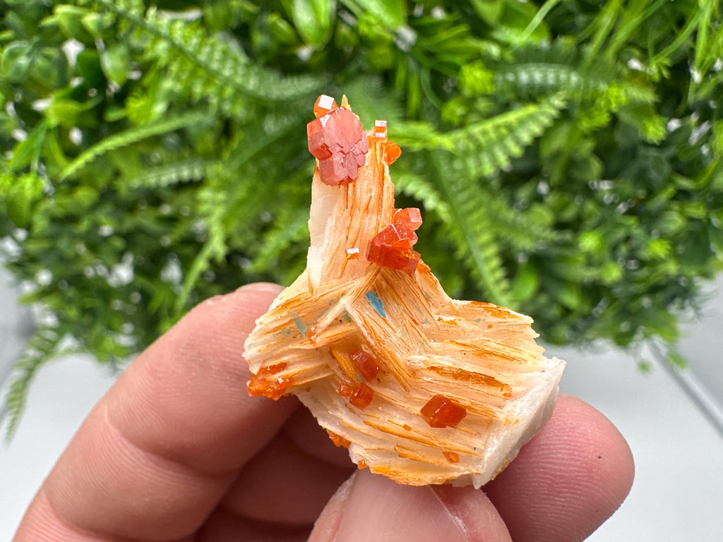Red Vanadinite on Barite from Marocco,crystal minerals Speciment cluster Vanadinite crystal Vanadinite Geology Vanadinite cluster minerals