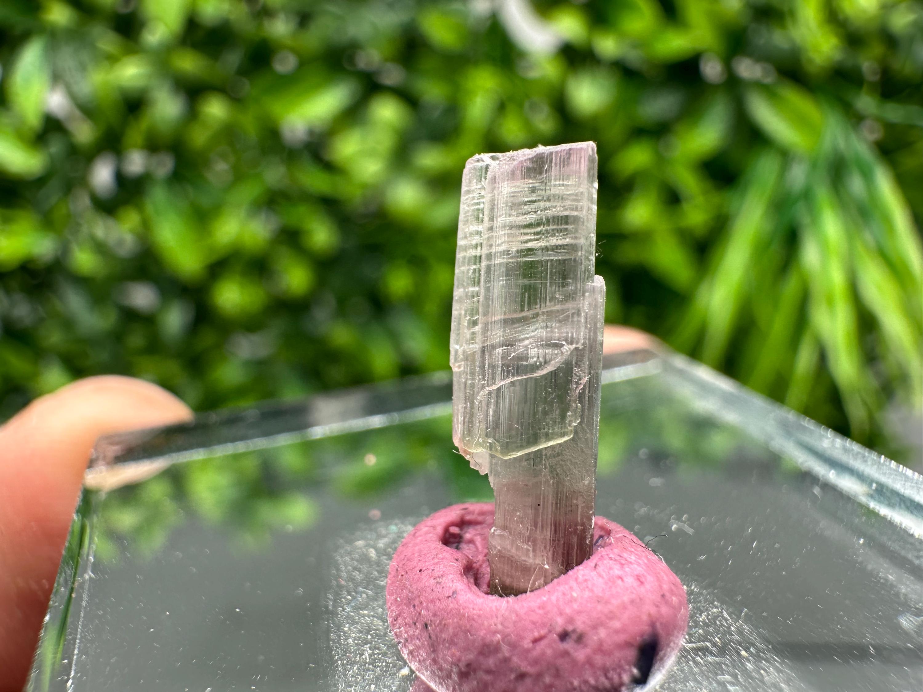 Rare Pink & Green Rubellite Tourmaline Pencil: 17mm Raw Crystal