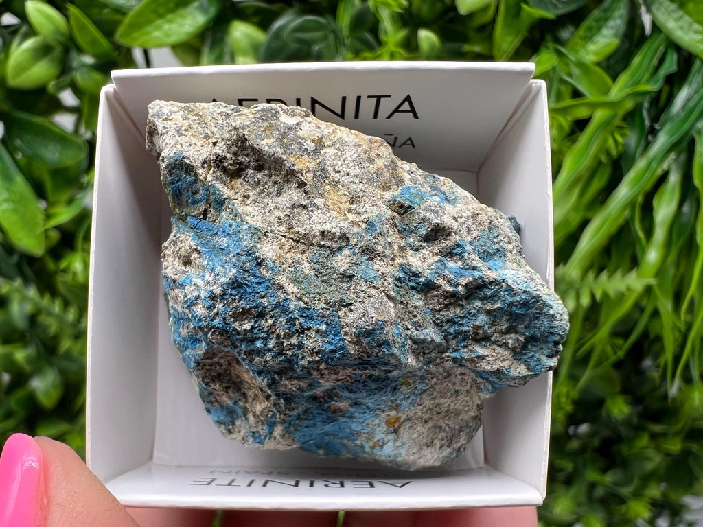 Rare Raw Aerinite Mineral Specimen: Lleida, Spain Crystal (4/3.5cm