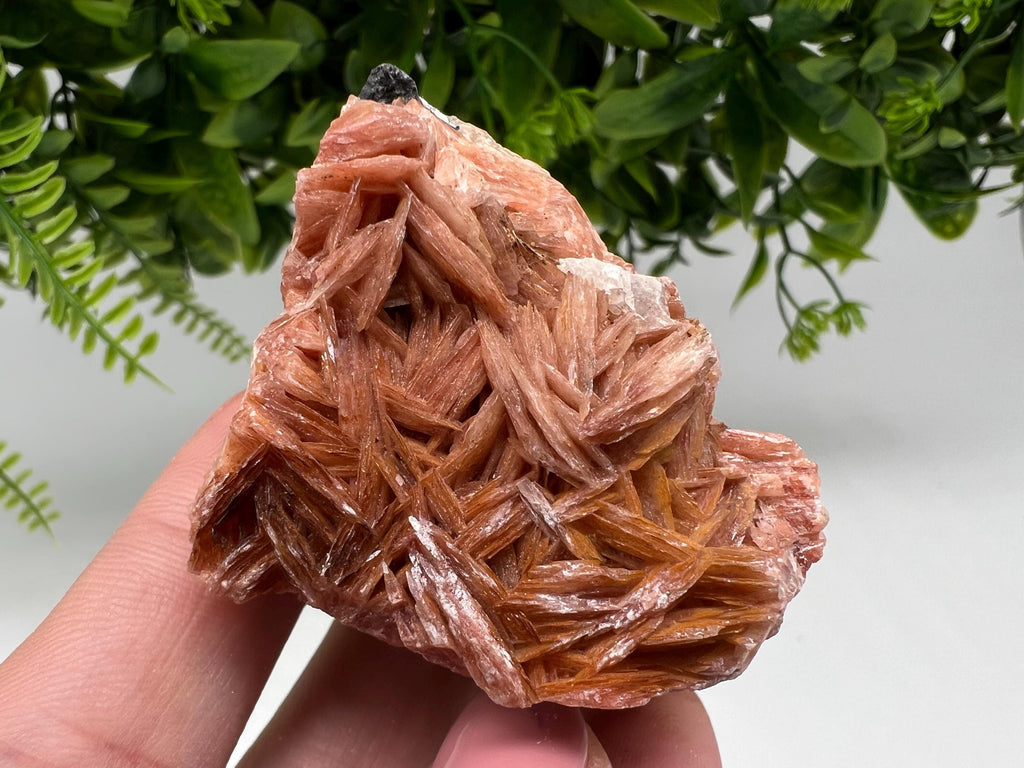 Wonderful Baryte with Cerussite on Galena from Morocco,Crystal, Mineral,Specimen,Cluster,Crystals,Barite Crystal,Cerussite Crystal,Specimen
