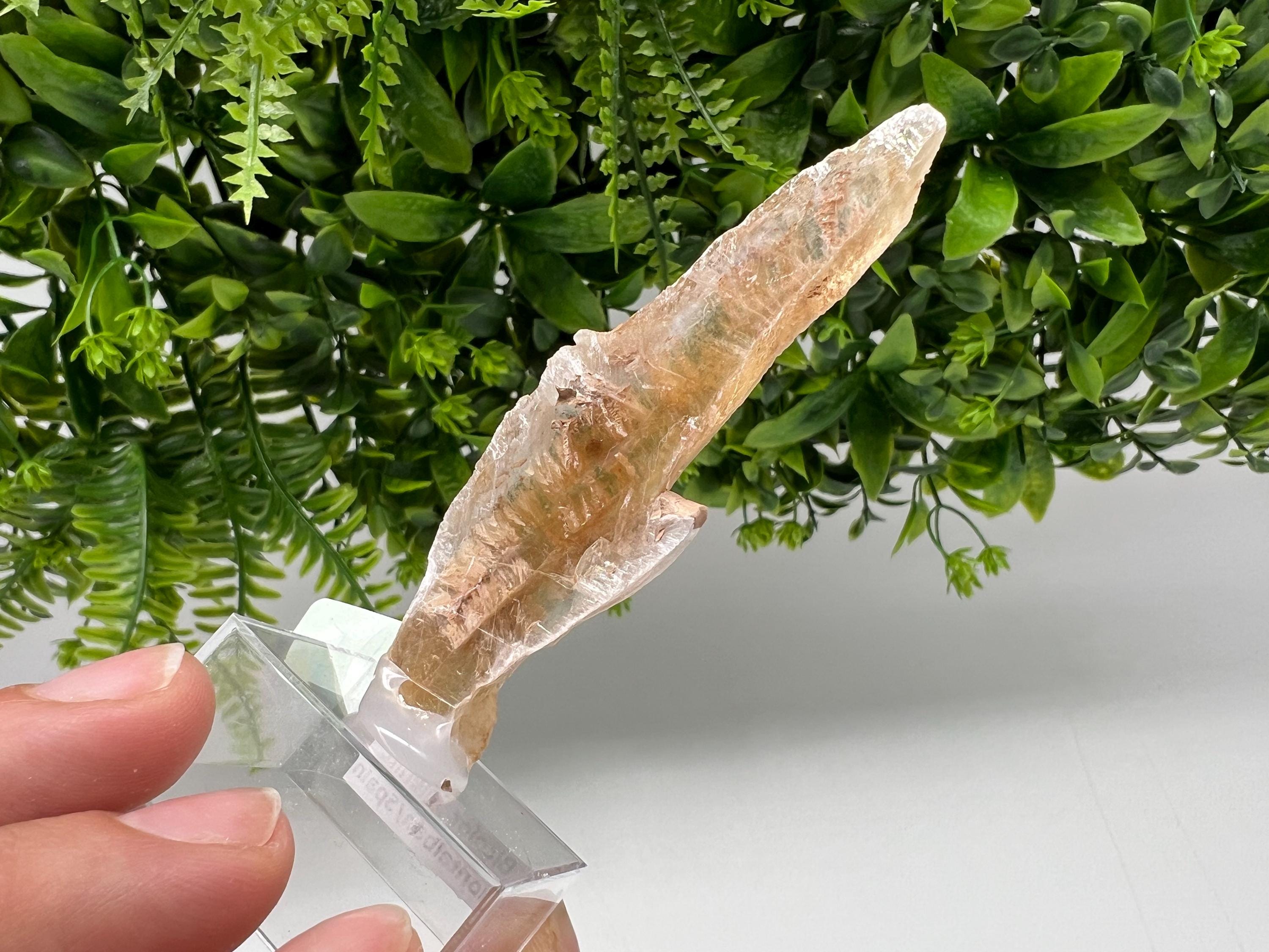 Golden Phantom Selenite Slab: Utah Raw Crystal Wand