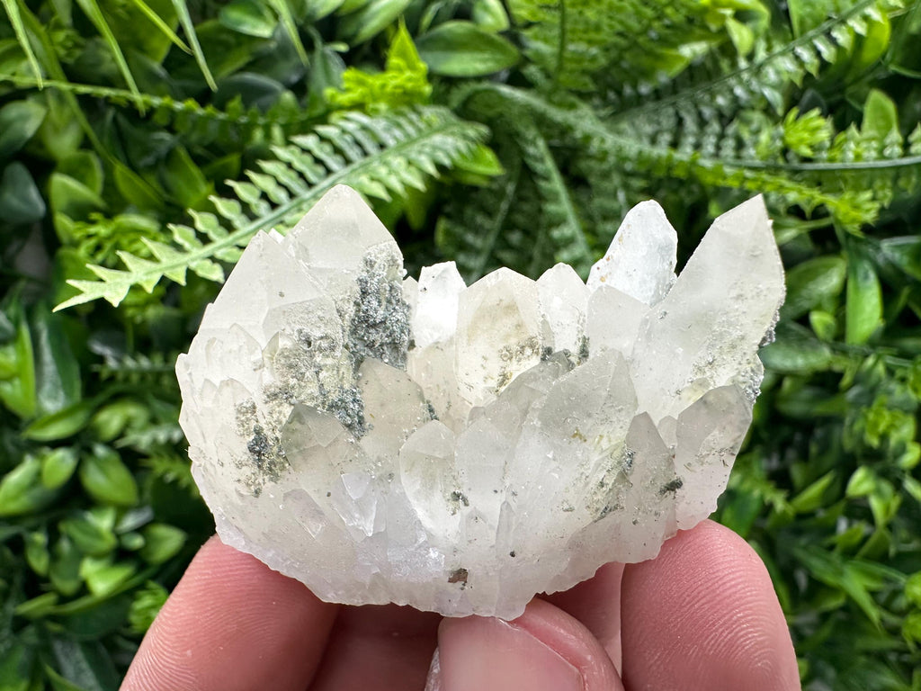 Limonite Quartz with Chlorite Inclusion: Djurcovo Laki Bulgaria Crystal