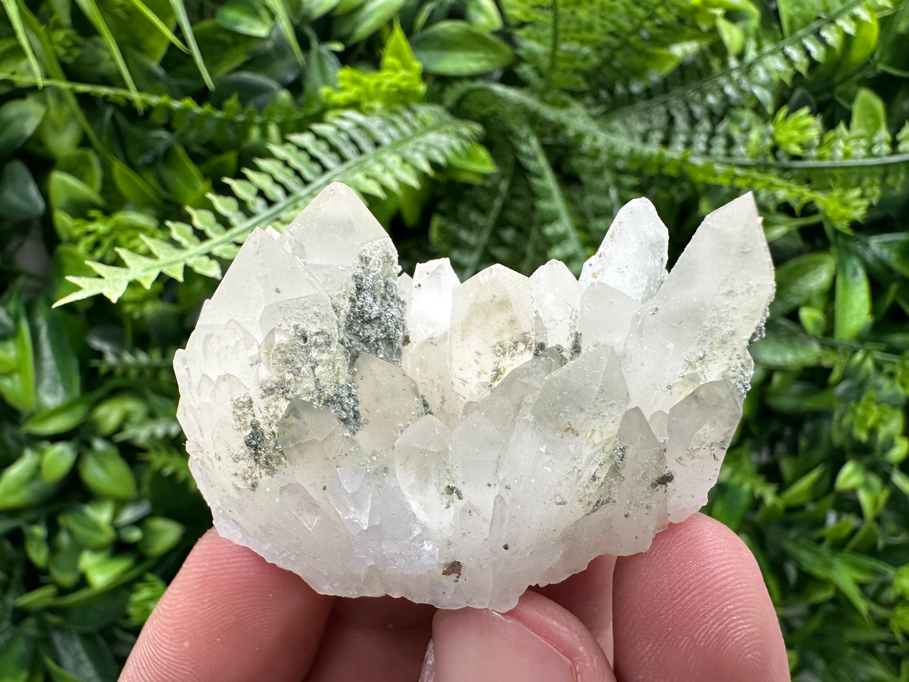 Limonite Quartz with Chlorite Inclusion: Djurcovo Laki Bulgaria Crystal