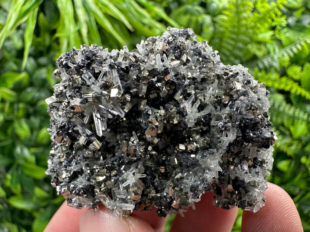 Pyrite on Quartz Needles, Borieva Mine Bulgaria, Mineral Specimen