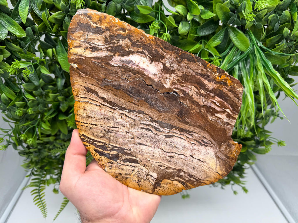 Polished Landscape Jasper Slab – Natural Scenic Stone Slice, Grounding Decor (22/17 CM)