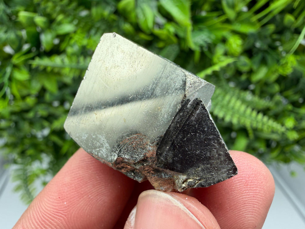 Interjoined Pyrite Cube, La Rioja Spain, Home Decor Stone