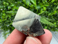 Interjoined Pyrite Cube, La Rioja Spain, Home Decor Stone