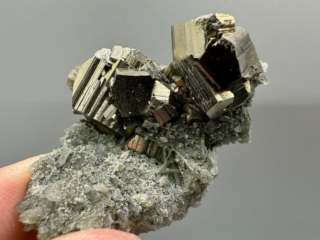 Golden Pyrite on Quartz with Chlorite - Borieva Mine Bulgaria