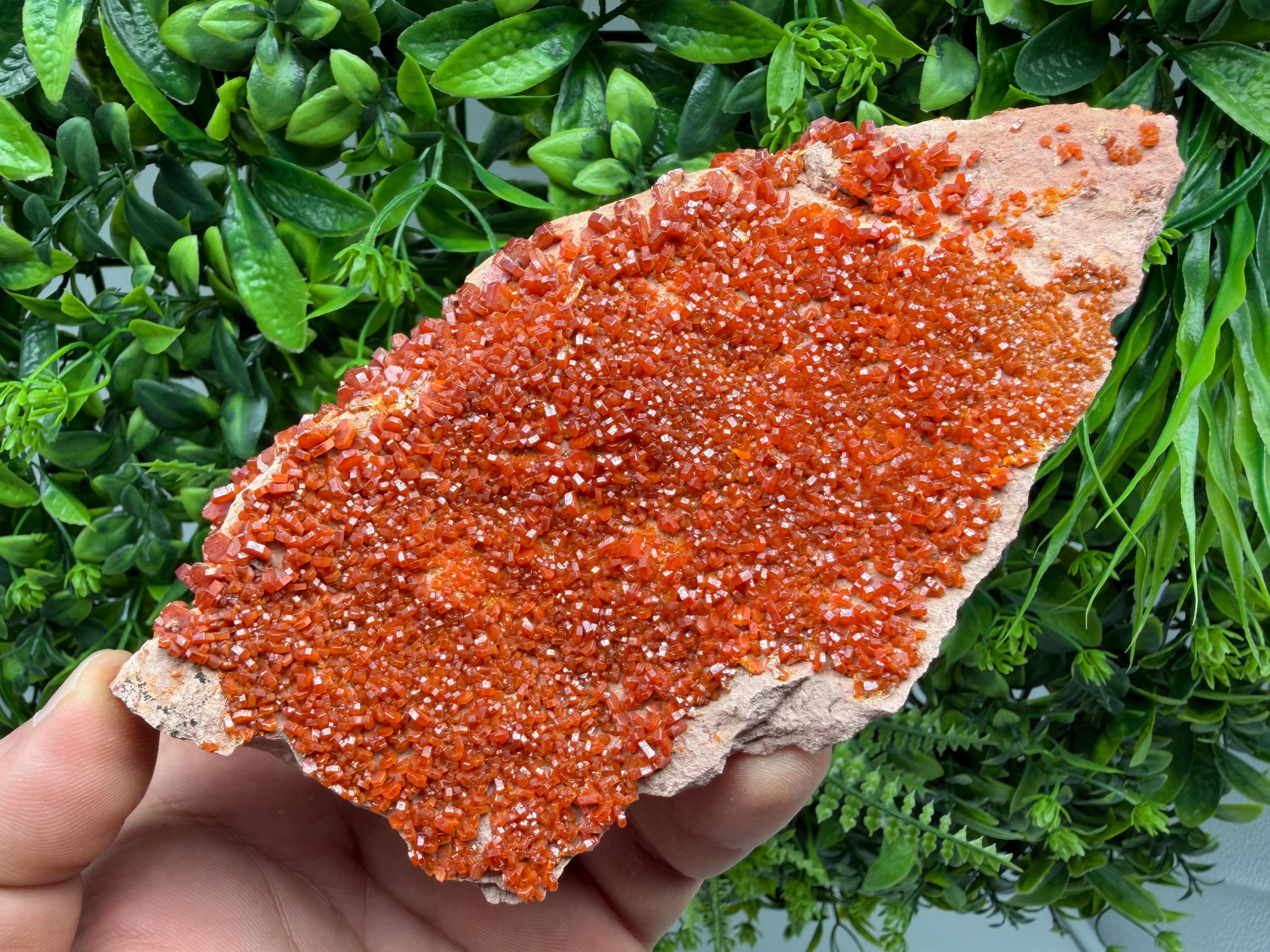 Red Vanadinite on Matrix from Marocco,crystal minerals Speciment cluster Vanadinite crystal Vanadinite Geology Vanadinite cluster minerals