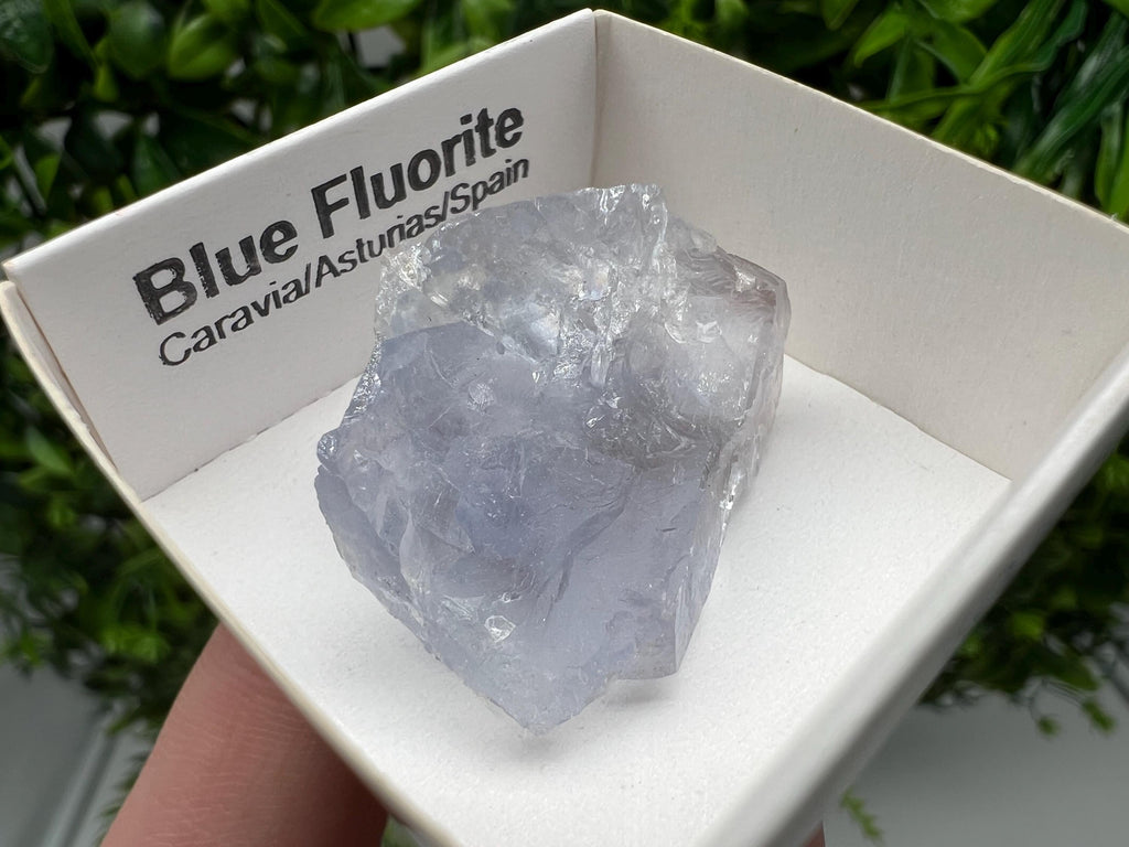 Blue Fluorite Mineral Specimen: Spanish Crystal Collection (3/3 cm