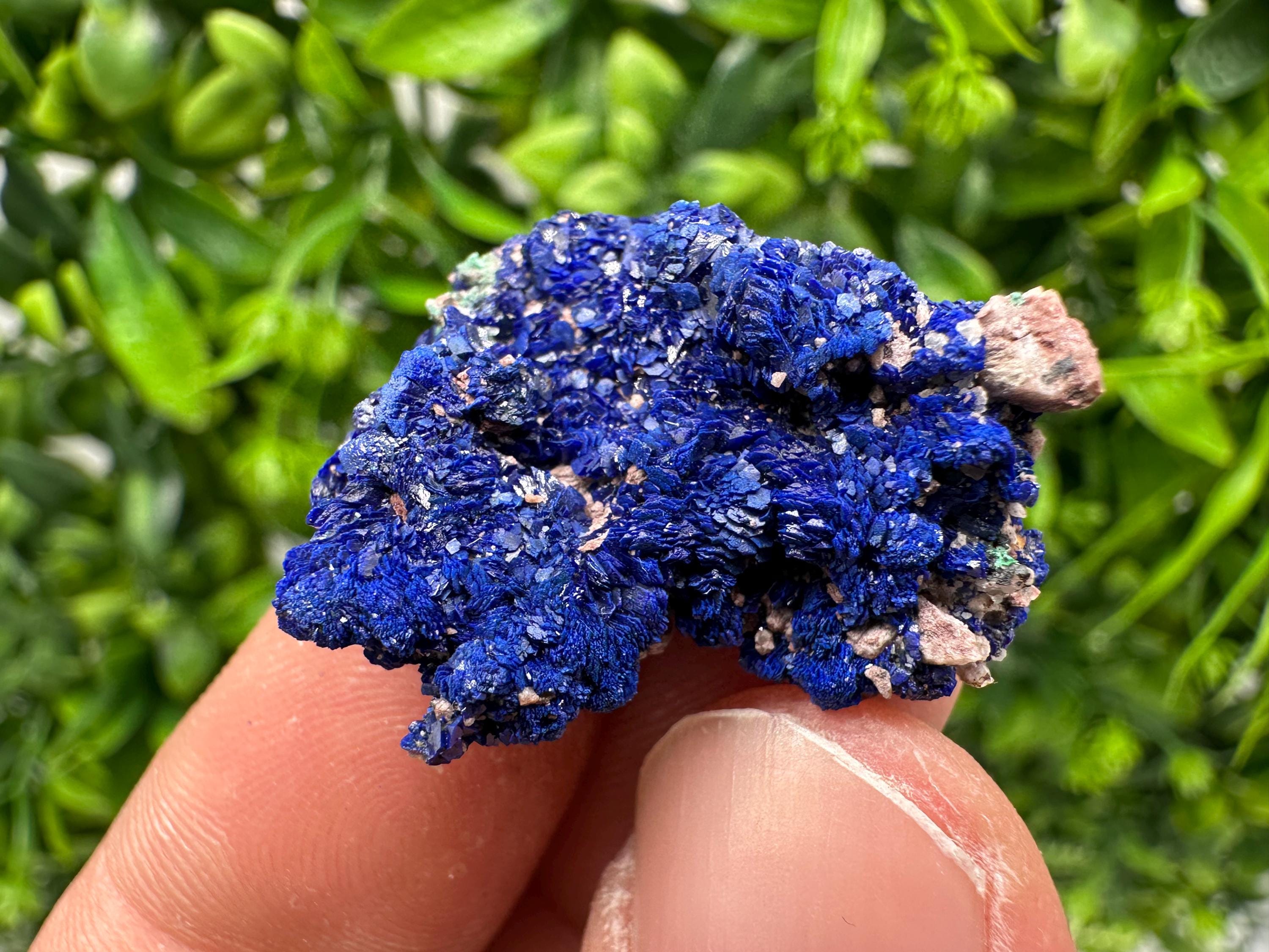 Crystallized Azurite-Kerrouchen,Morocco-Blue Azurite Specimen-High Quality Blue Azurite-Azurite Mineral Specimen, gemmy,lustrous of Azurite