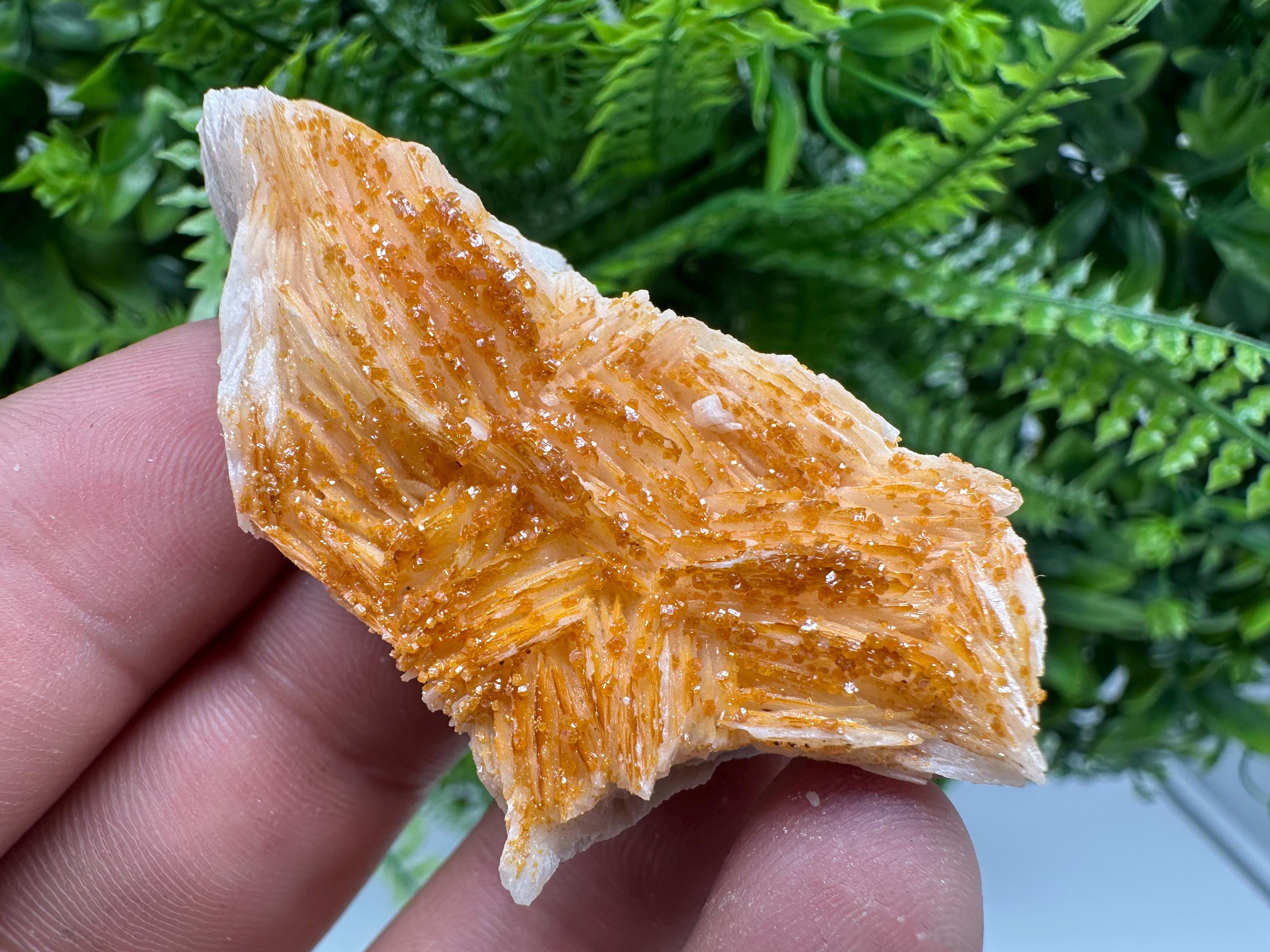 Red Vanadinite on Barite, Morocco Crystal Specimen