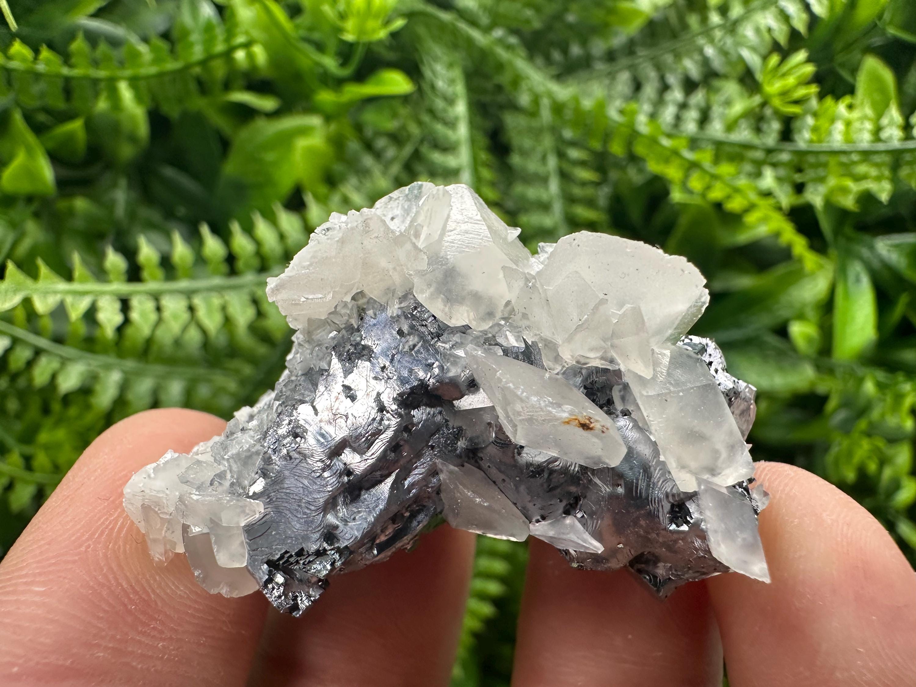 Quartz Galena Calcite Specimen: Borieva Mine, Bulgaria