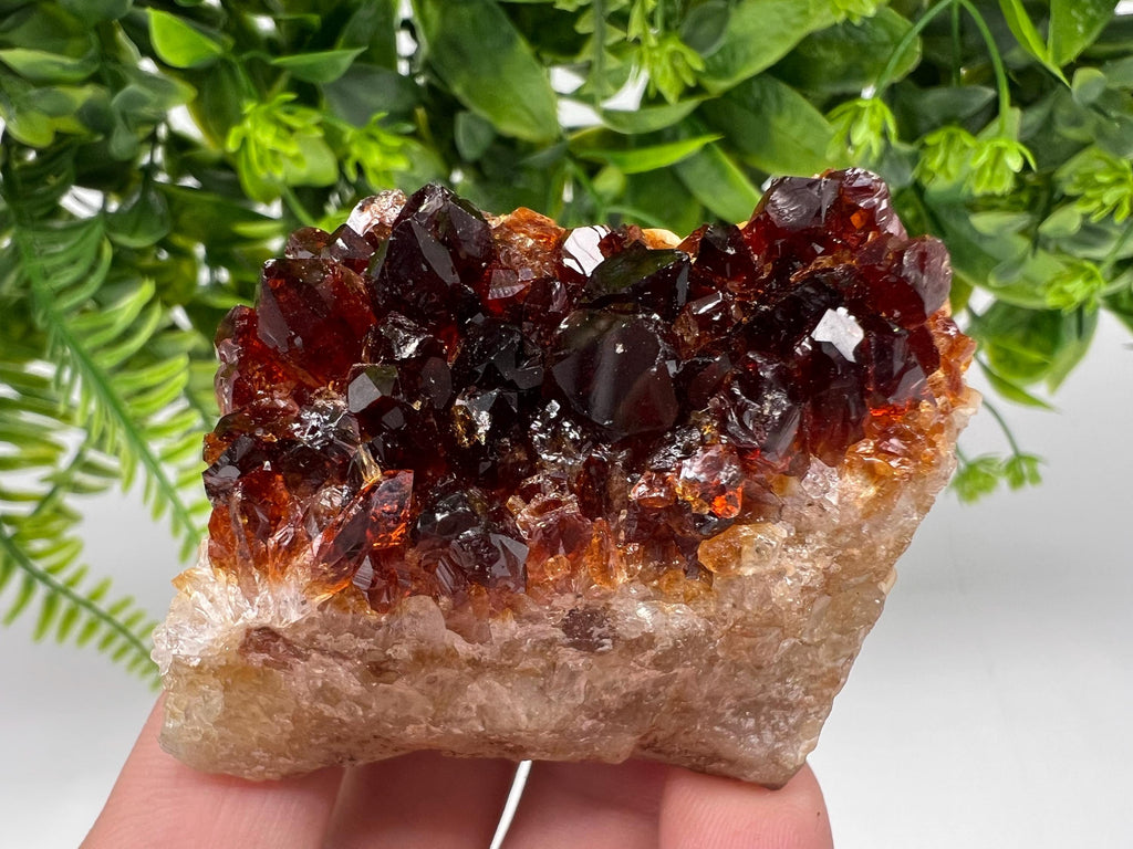 Citrine Crystal Cluster with Hematite Inclusions - Brazil