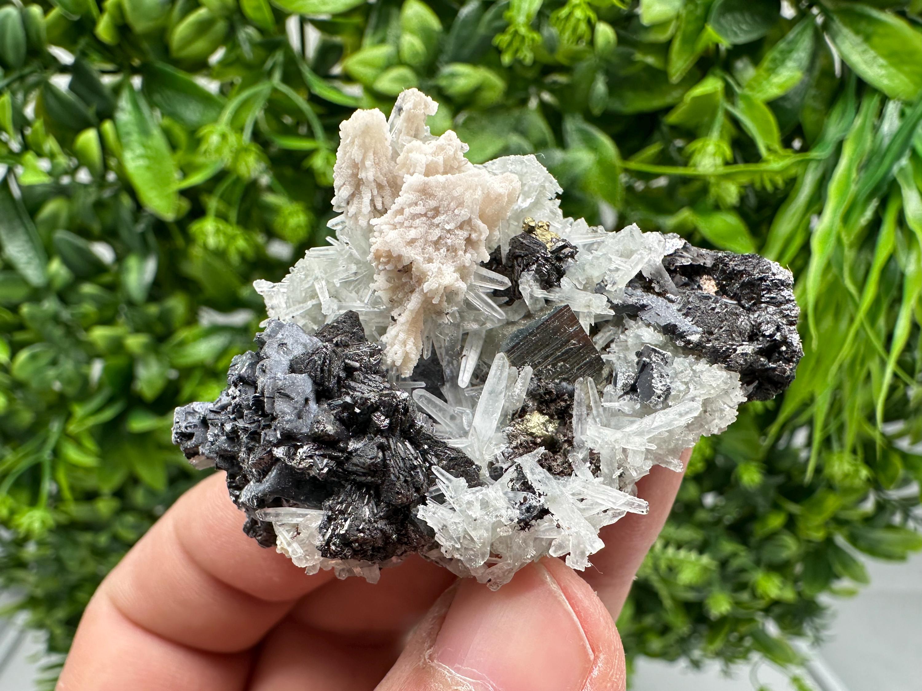 Golden Pyrite,Sphalerite from 9th September mine,Madan,Bulgaria,natural,collectible mineral specimen,home decor crystal,Pyrite cluster,