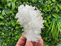 Wonderful Transparent Quartz on Chlorite Matrix,From Borieva mine,Madan,Bulgaria,Quartz,Quartz crystal,mineral specimen,collection quartz