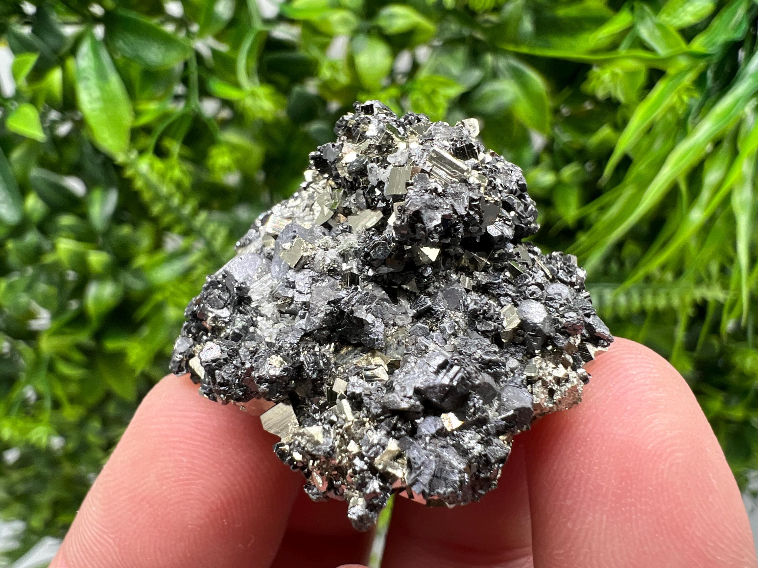 Pyrite Galena Sphalerite Quartz Specimen: Borieva Mine, Bulgaria