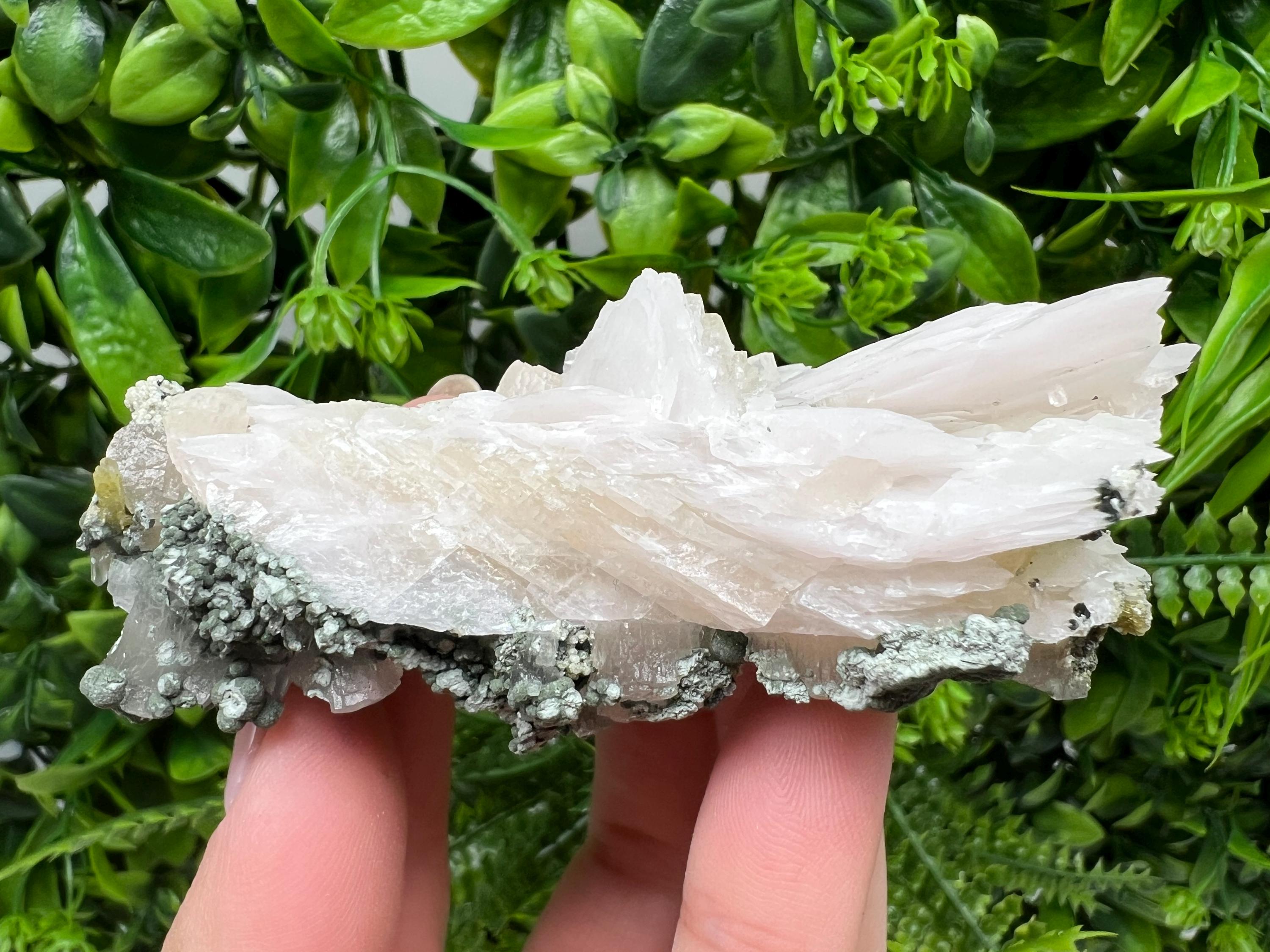 Wonderful,UV Mangano Calcite from Borieva mine Madan Bulgaria natural minerals souvenir crystal collection home decor souvenir gift stone