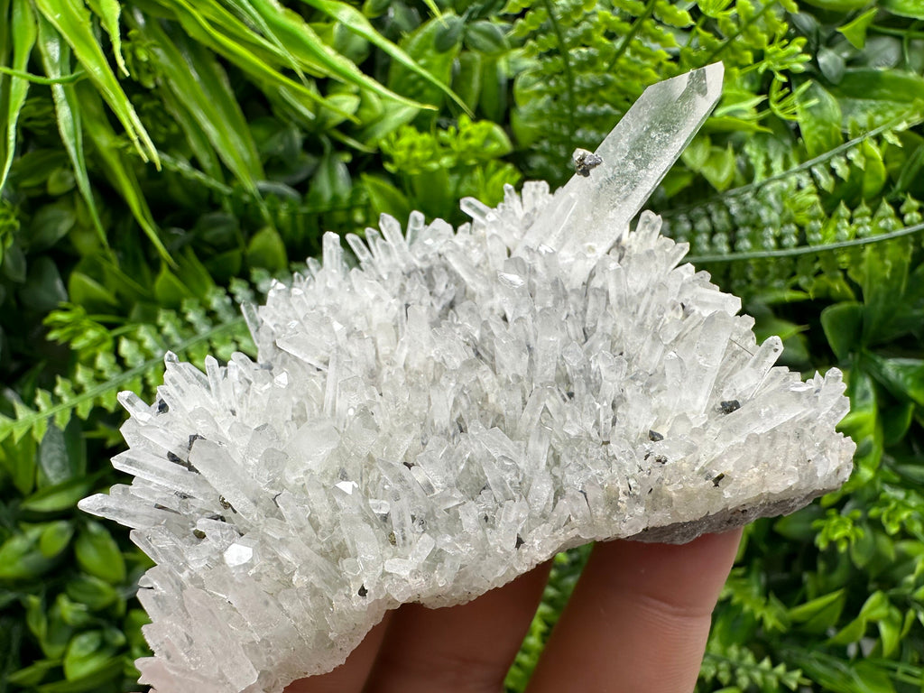 Quartz with Pyrite and Galena, Krushev Dol Mine, Bulgaria