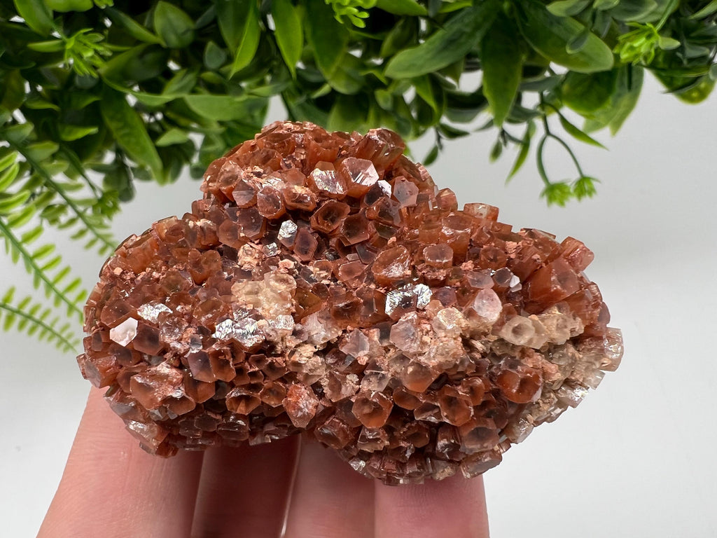 Large Aragonite Sputnik Cluster: Raw Moroccan Crystal Stone
