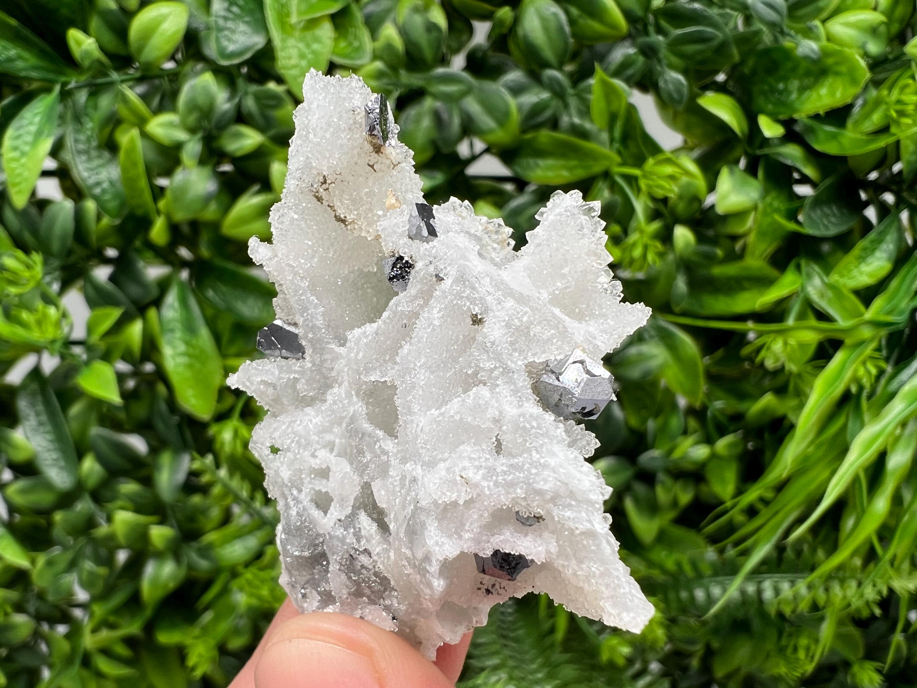 Galena on Chalcedony Specimen: Krushev Dol Mine, Bulgaria