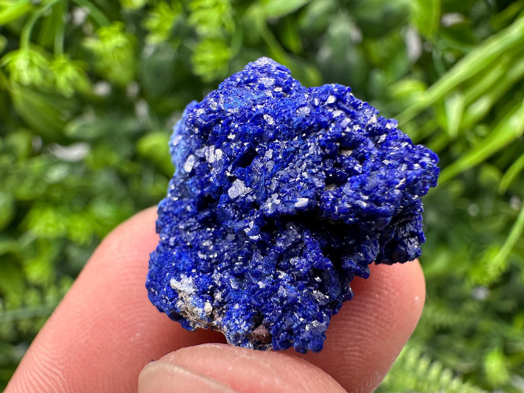 Crystallized Azurite-Kerrouchen,Morocco-Blue Azurite Specimen-High Quality Blue Azurite-Azurite Mineral Specimen, gemmy,lustrous of Azurite