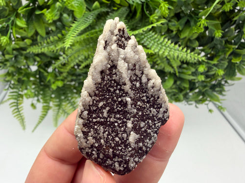 Brown Rhodochrosite on Calcite, Djurcovo Bulgaria, Mineral Specimen