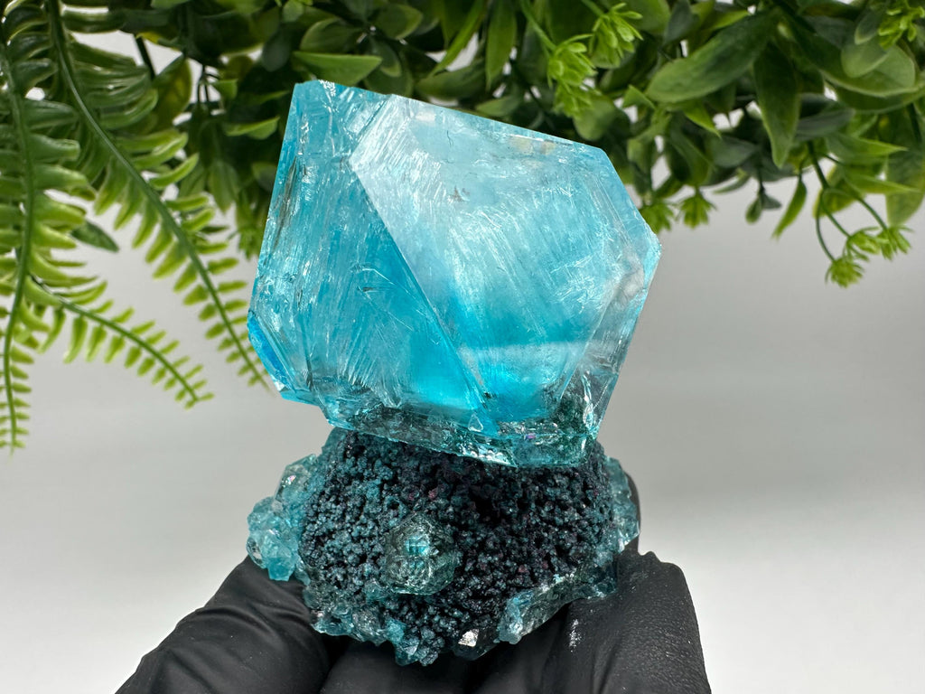 Exceptional Turquoise ALUNITE Aqua Crystal on Matrix UV Active, lab minerals
