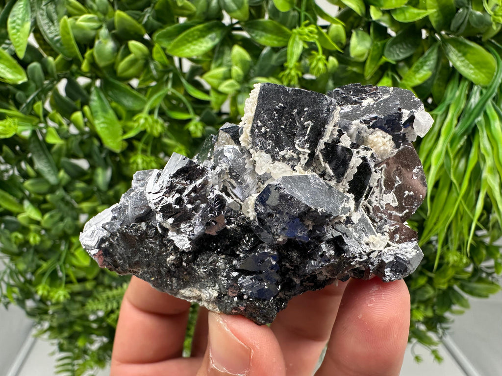 Rare Mirror Galena Cubes: Marzyan Mine, Bulgaria