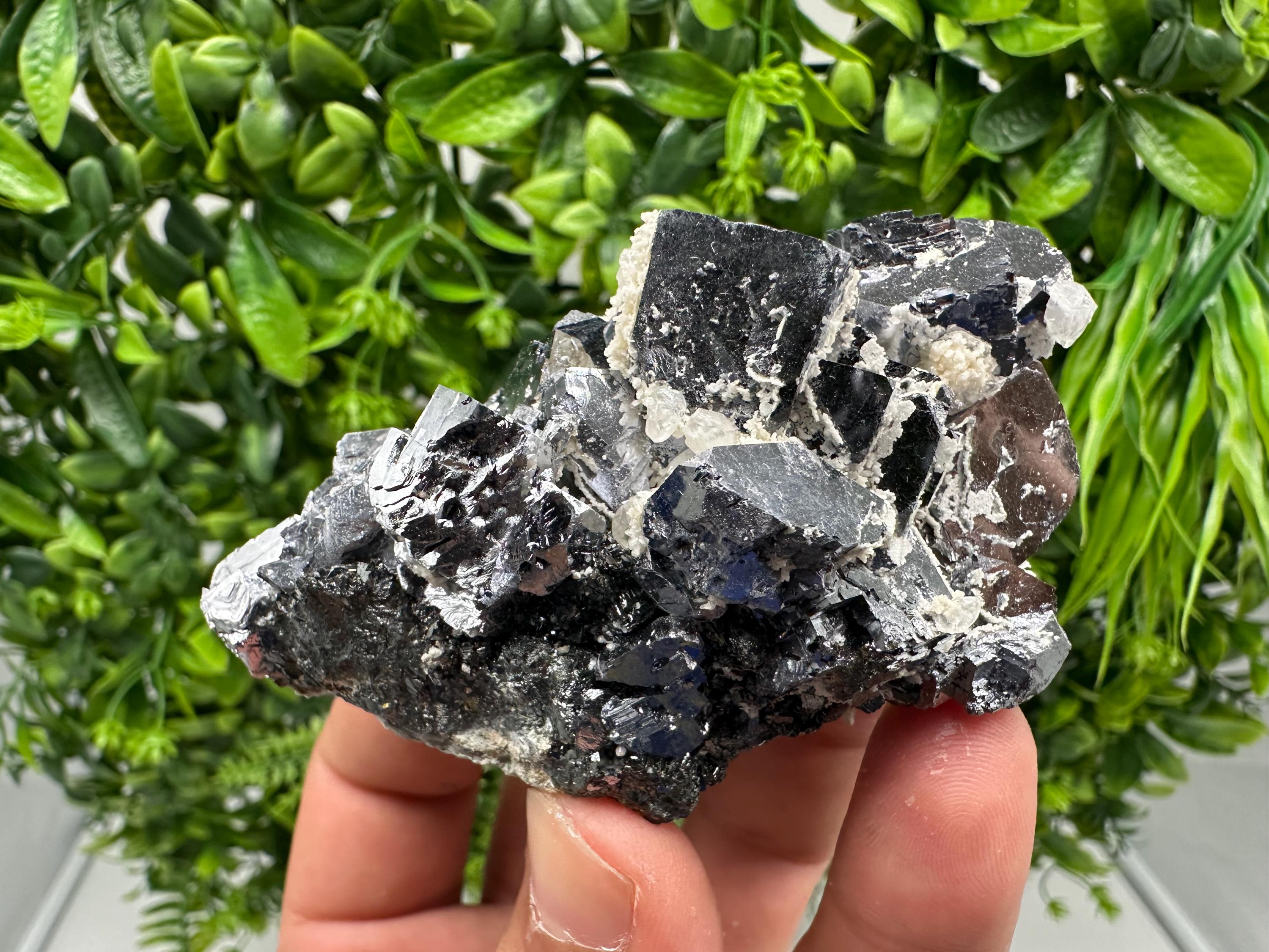 Rare Mirror Galena Cubes: Marzyan Mine, Bulgaria