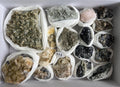 Wonderful Set,wholesale mineral,crystal,wholesale box,wholesale specimen,gift,souvenir,wholesale minerals box,wholesale specimen,healing