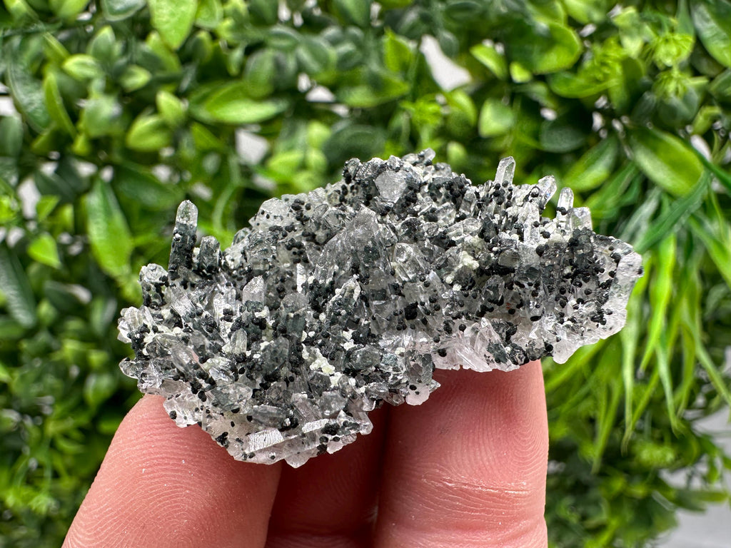 Chlorite Quartz Mineral Specimen, Borieva Mine, Bulgaria