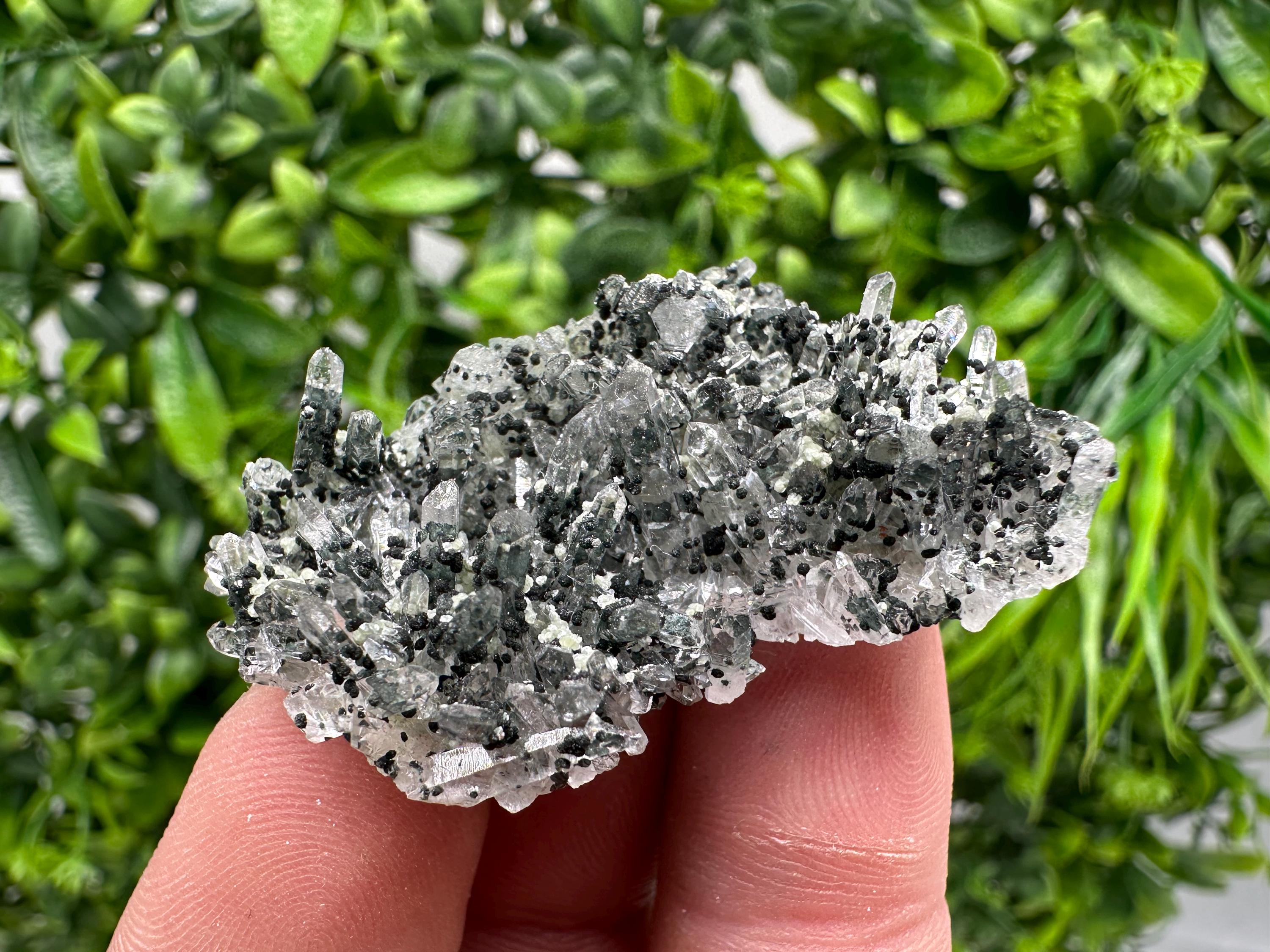Chlorite Quartz Mineral Specimen, Borieva Mine, Bulgaria
