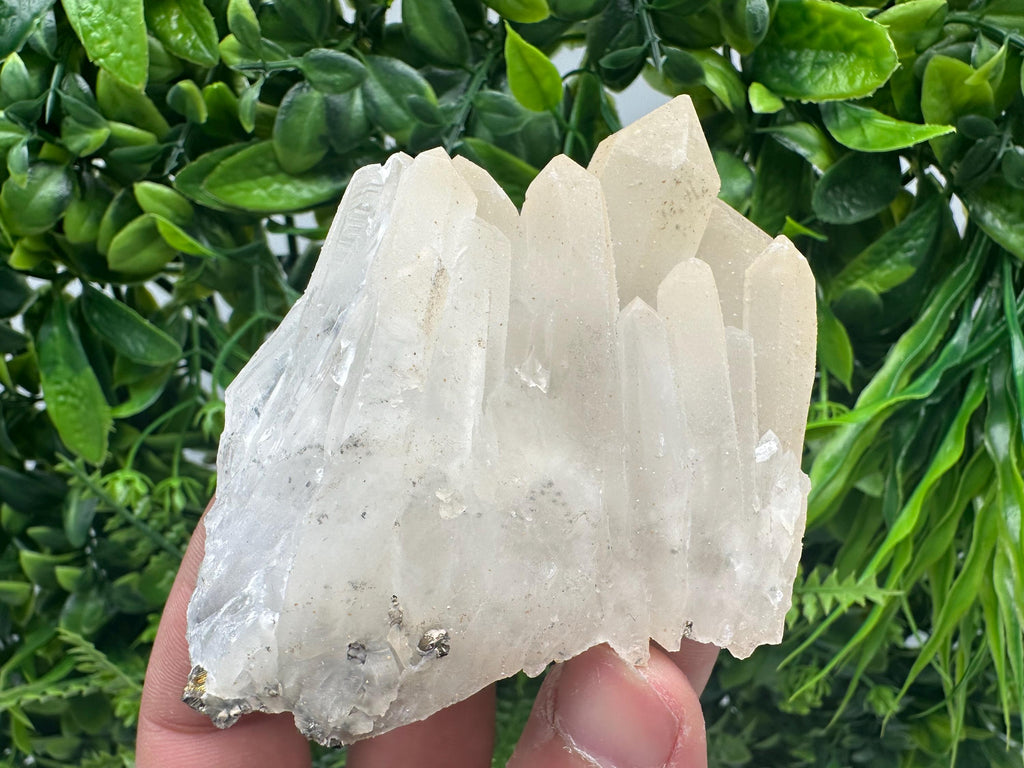 Quartz Rhodochrosite Cluster, Djurcovo Mine Mineral Specimen