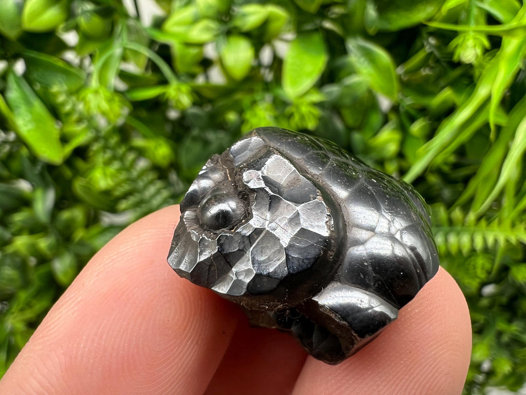 Botryoidal Black Hematite Specimen: Moroccan Crystal, Chakra Reiki