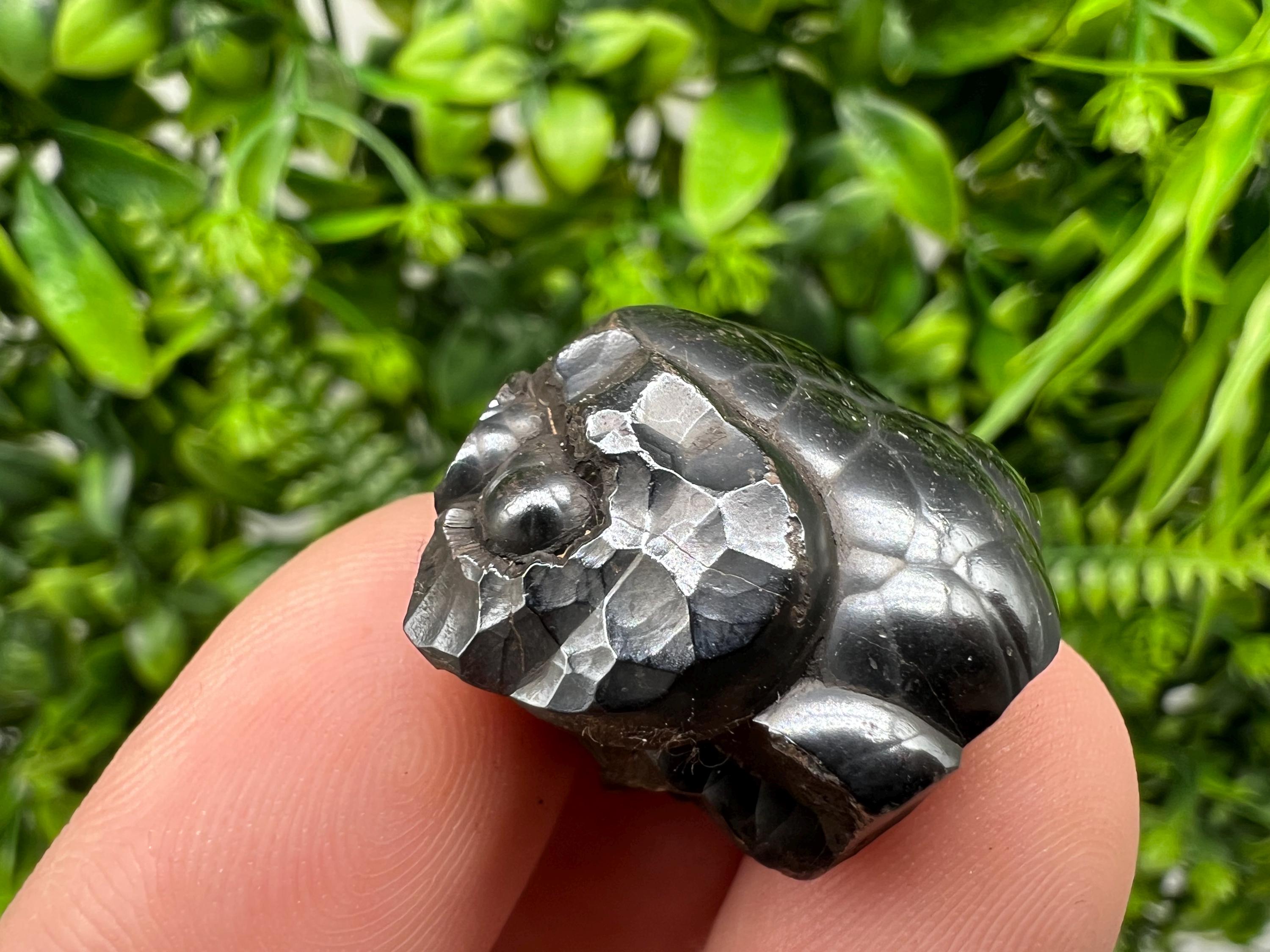 Botryoidal Black Hematite Specimen: Moroccan Crystal, Chakra Reiki