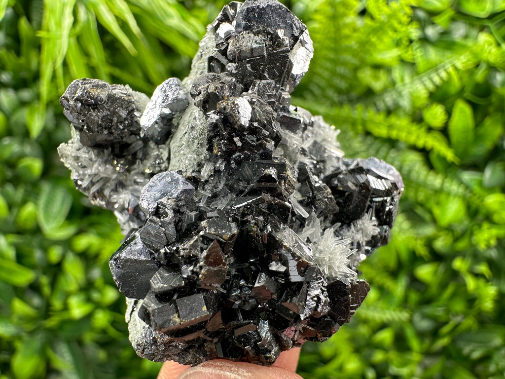 Galena Sphalerite on Needle Quartz: Borieva Mine Crystal, Bulgaria