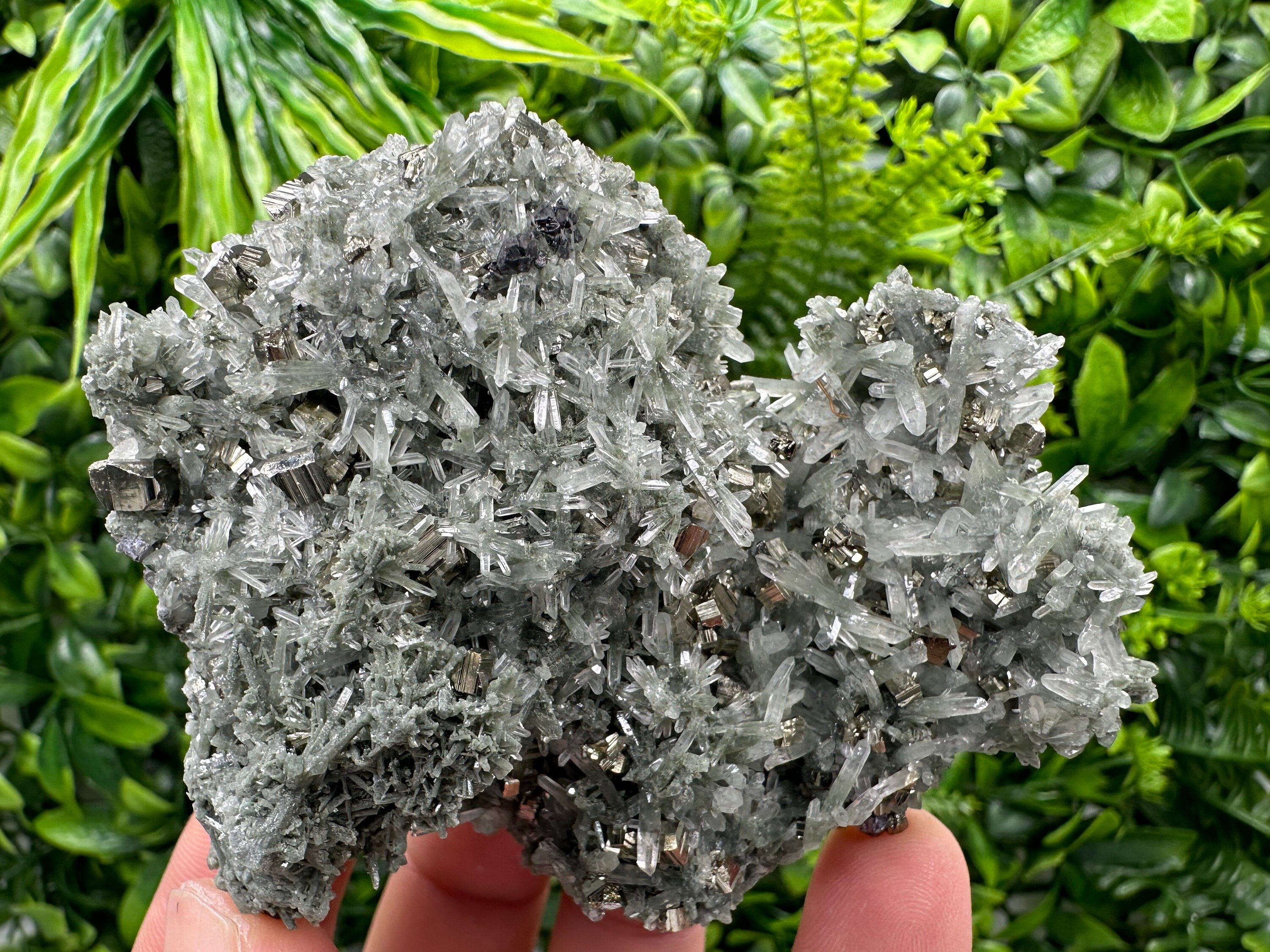 Pyrite Galena on Green Quartz with Chlorite: Borieva Bulgaria Crystal