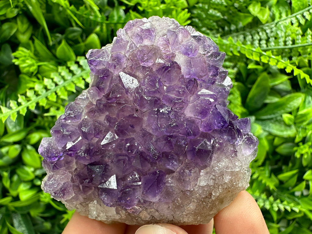 Uruguay Amethyst Cluster: Purple Quartz Crystal, Home Decor (6/7/4cm)