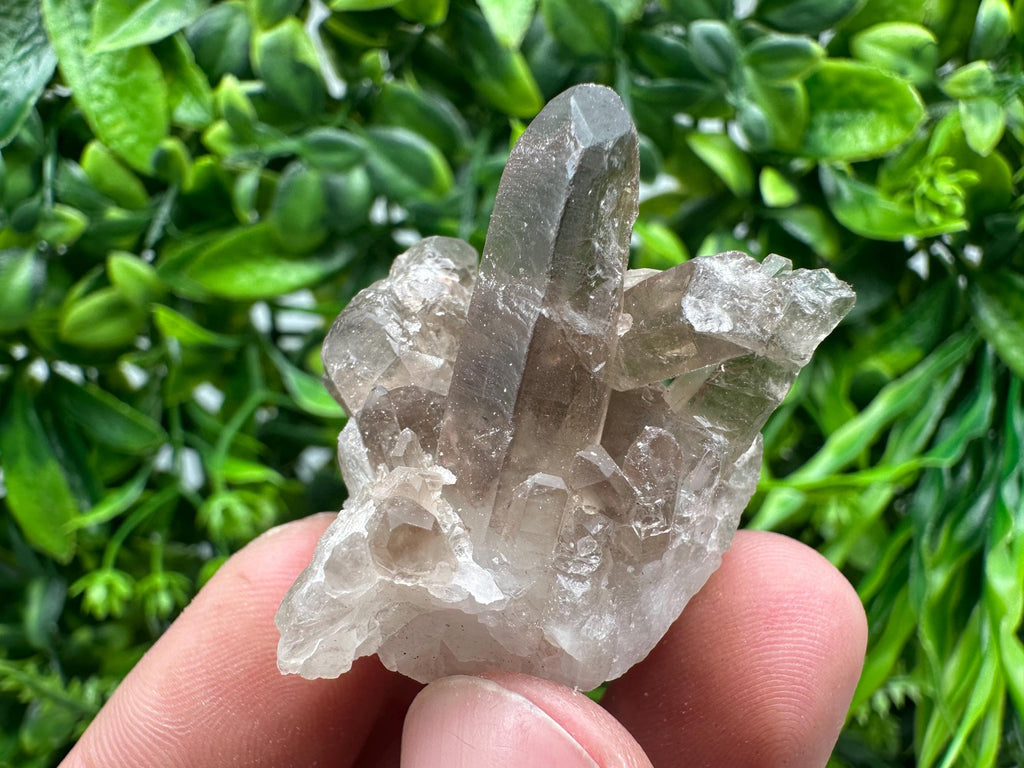 Rare Smoky Quartz Crystal Cluster, Brazil Mineral Specimen