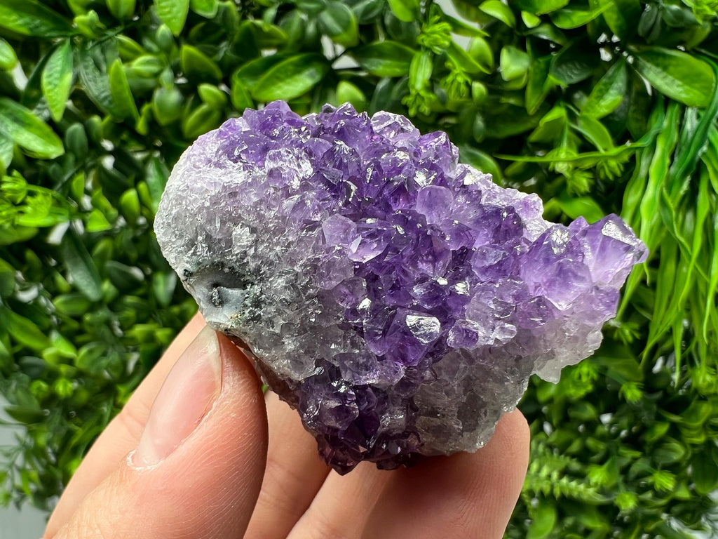 Uruguay Amethyst Crystal: Purple Quartz Phantom - Home Decor