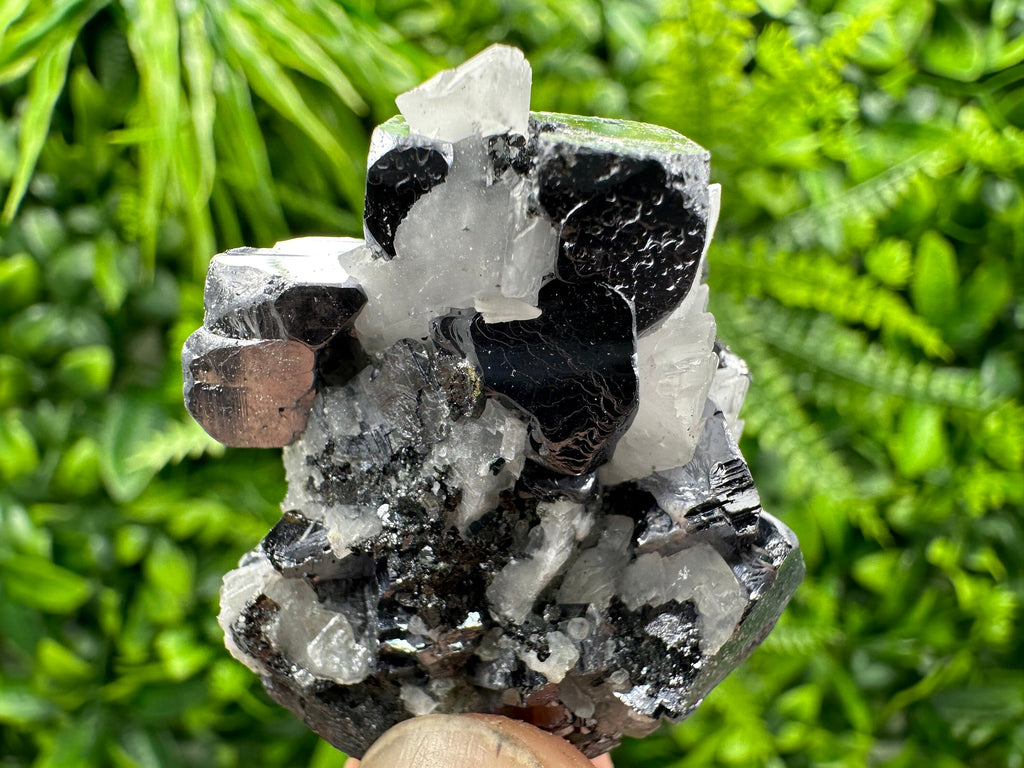 Galena with Calcite Crystal: Borieva Mine, Bulgaria
