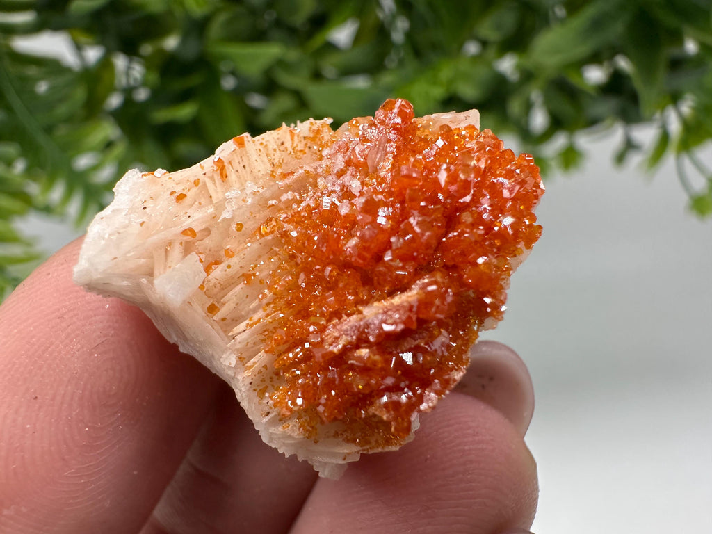 Red Vanadinite on Barite, Moroccan Crystal Specimen